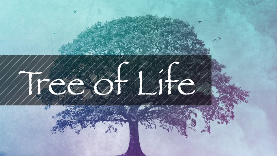 Tree of Life- Part 4